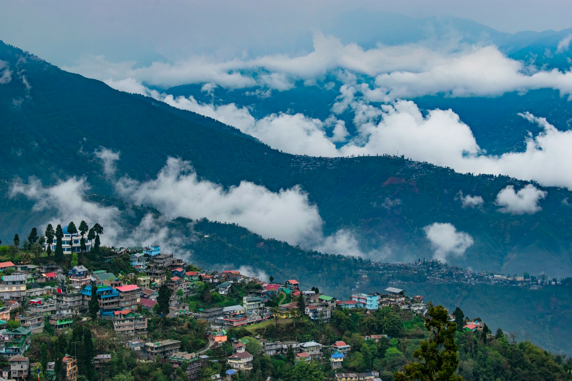Darjeeling Hill View